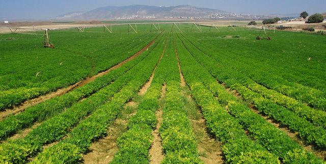 Tổng hợp hơn 64 về mô hình nông nghiệp công nghệ cao israel mới nhất   coedocomvn